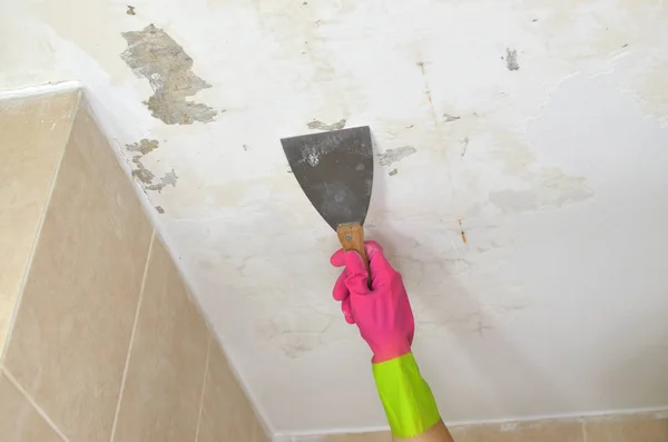 Alçı Spatula ile pembe eldiven el