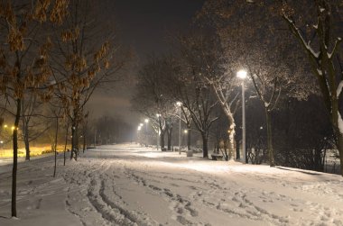 Kış gecesi bir parkta