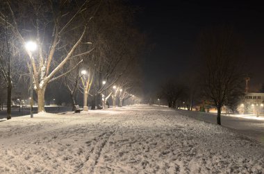 Park kış akşamları
