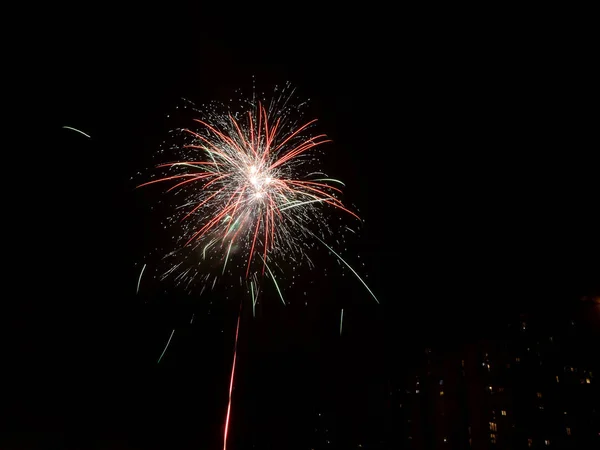 Firework Explosion in the Dark — Stock Photo, Image
