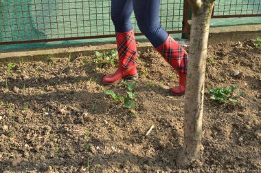 Kadının bacakları kırmızı lastik çizme bir bahçe içinde