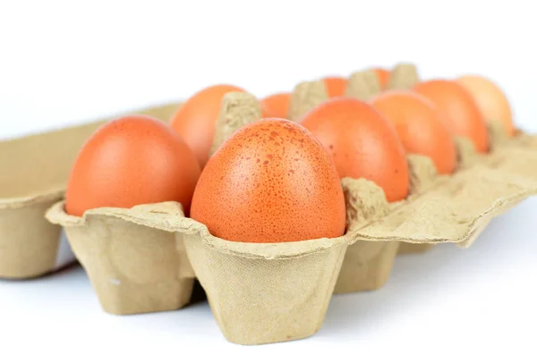 鸡鸡蛋盒 — 图库照片