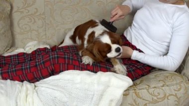 Kadın çok güzel köpek penye