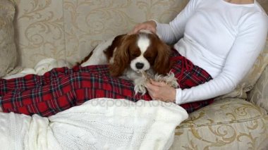 Köpek onun kemik çiğneme