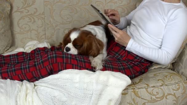 Tablet van de vrouw en haar hond — Stockvideo