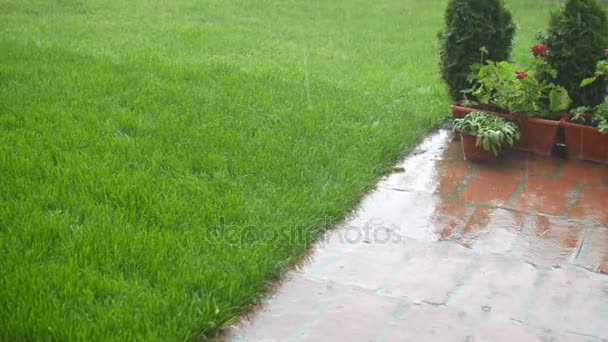 Pannen in de tuin op regen — Stockvideo