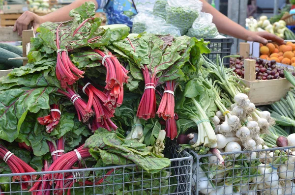 Mangold on Market — Stock Photo, Image