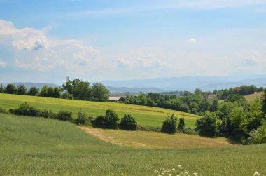 kırsal manzara bahar