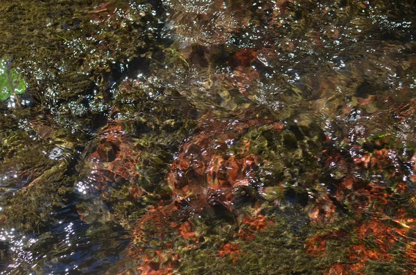 Pintoresco fondo de agua del río —  Fotos de Stock