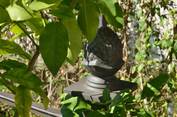 İtalyan tarzı bahçe süsleme