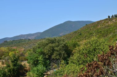 Tepelerin panoramik manzarası