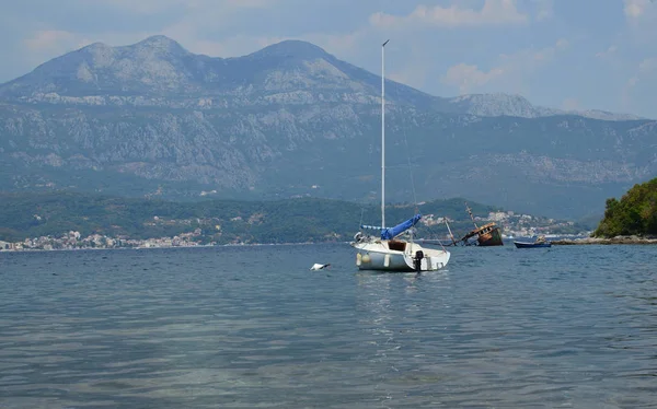 Yelkenli tekne ve bir gemi enkazı — Stok fotoğraf