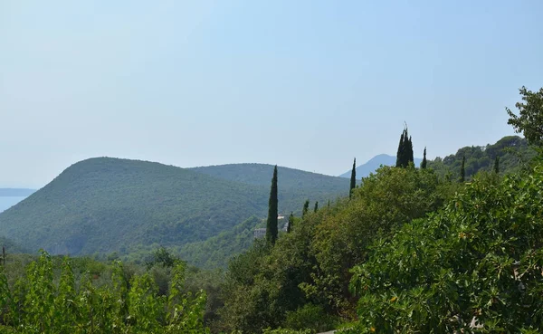 Tepeler ve Akdeniz bitkileri — Stok fotoğraf