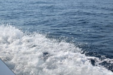 Beyaz Köpüklü Dalga