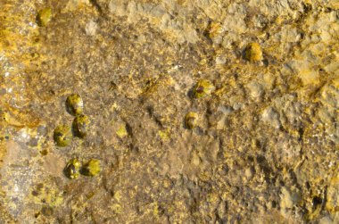 Rock denizminaresi ile