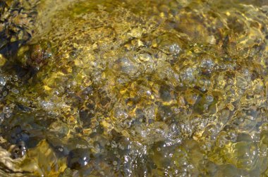 Islönme deniz kayasının yakın çekim