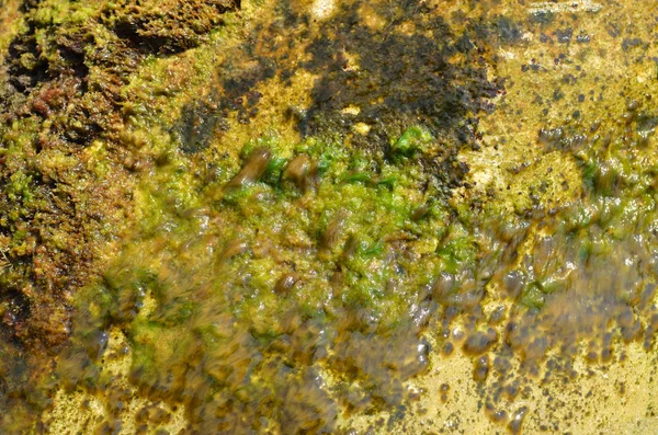 Close-up of a green rock — Stock Photo, Image
