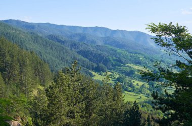 Tepeleri, vadileri ve otlakları olan yemyeşil bir manzara.