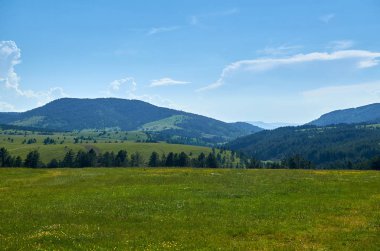 Zlatibor dağın manzara