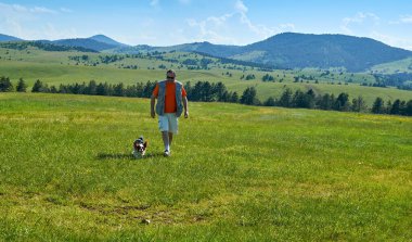 Tepelerde bir köpekle yürümek