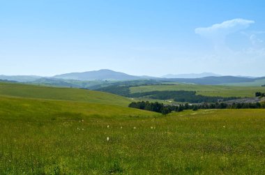 Pastoral dağ manzarası
