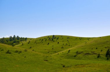 Pastoral dağ manzarası