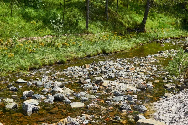 Mountain stream in spring — Stock Photo, Image
