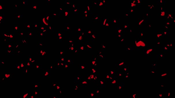Kırmızı Kalp Figürlerinin Animasyonu Düşüyor Görüntülerin Ilk Yarısı Siyah Bir — Stok video