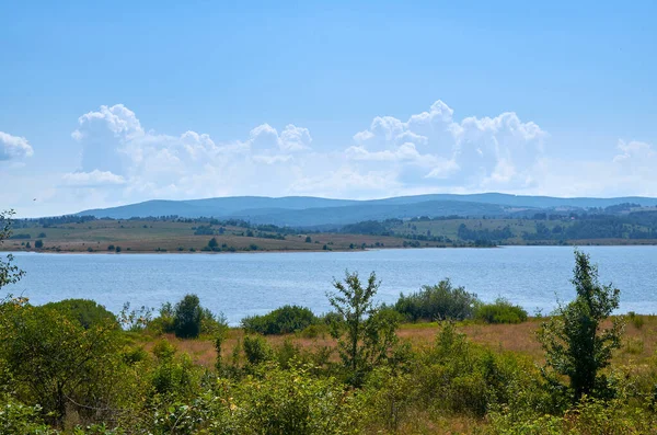 Lac Vlasina Ses Rives Pittoresques Été — Photo