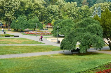 Sırbistan 'da güzel Vrnjacka Banja şehir parkı, yaşlı gür ağaçlarla dolu