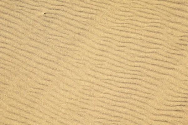 Поверхность песчаных дюн — стоковое фото