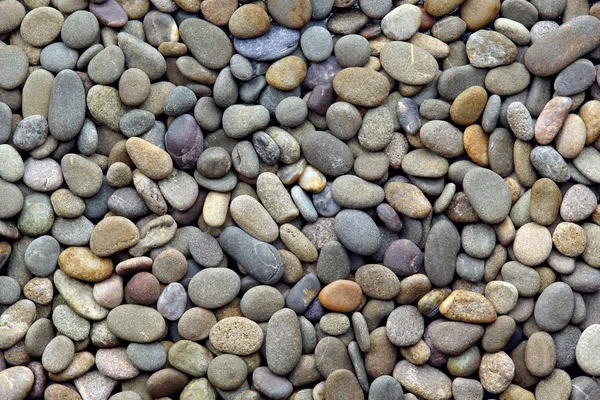 背景の海の小石 — ストック写真