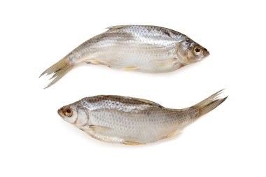 Beyaz arka plan üzerinde izole stockfish