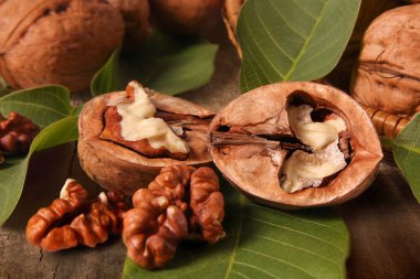 Tahta tezgahta ceviz. Hayat fındık ve yapraklarla dolu