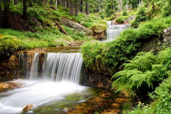 Waterval in het Reuzengebergte — Stockfoto