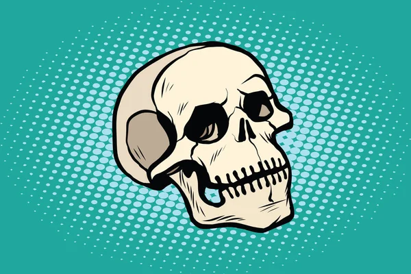Ανθρώπινο κρανίο κεφάλι σκελετός — Διανυσματικό Αρχείο