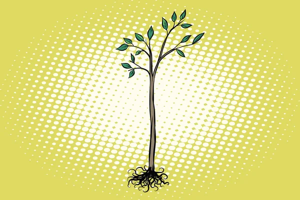 Träd plantor med gröna blad — Stock vektor