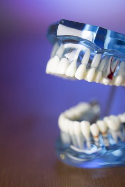 Takma diş diş hekimliği öğrencileri için