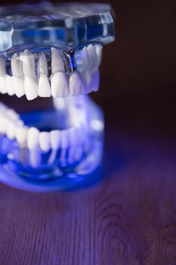 Takma diş diş hekimliği öğrencileri için