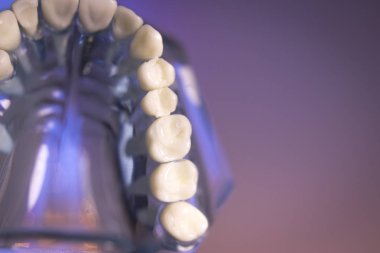 Takma diş diş hekimliği öğrencileri için