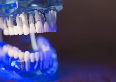 Takma diş diş hekimliği öğrencileri için