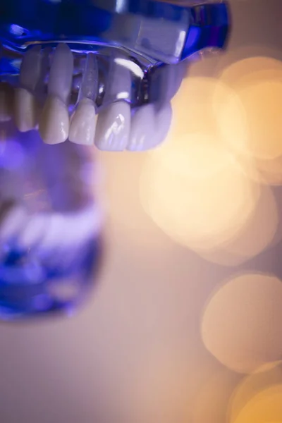 Οδοντοστοιχία για φοιτητές οδοντιατρικής — Φωτογραφία Αρχείου