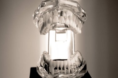 Öğrenciler şeffaf için takma diş