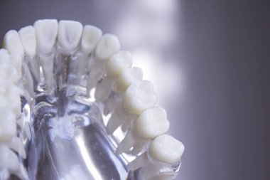 Öğrenciler şeffaf için takma diş