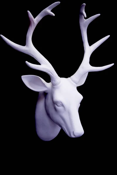 白い鹿の頭 — ストック写真