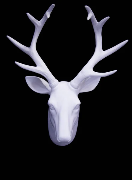 Kepala rusa putih — Stok Foto