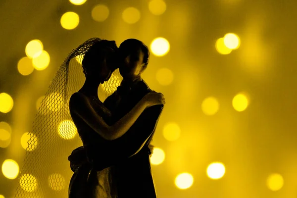 Silhouette de jeunes mariés — Photo