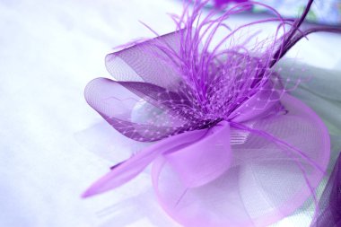 Düğün Konuklar için saç Aksesuar