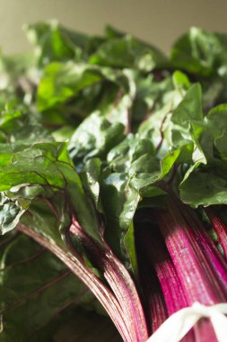 Pişirmeden taze kırmızı pazı. Vejetaryenler ve vejetaryenler için sağlıklı yiyecekler