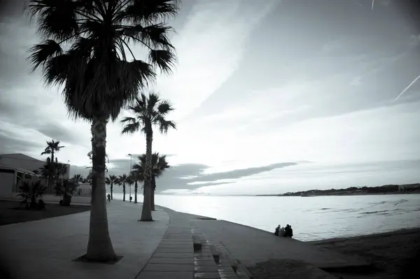 Krásný Západ Slunce Pláži Palmami Žádní Lidé — Stock fotografie